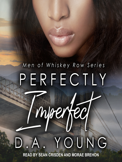 Cover image for Perfectly Imperfect